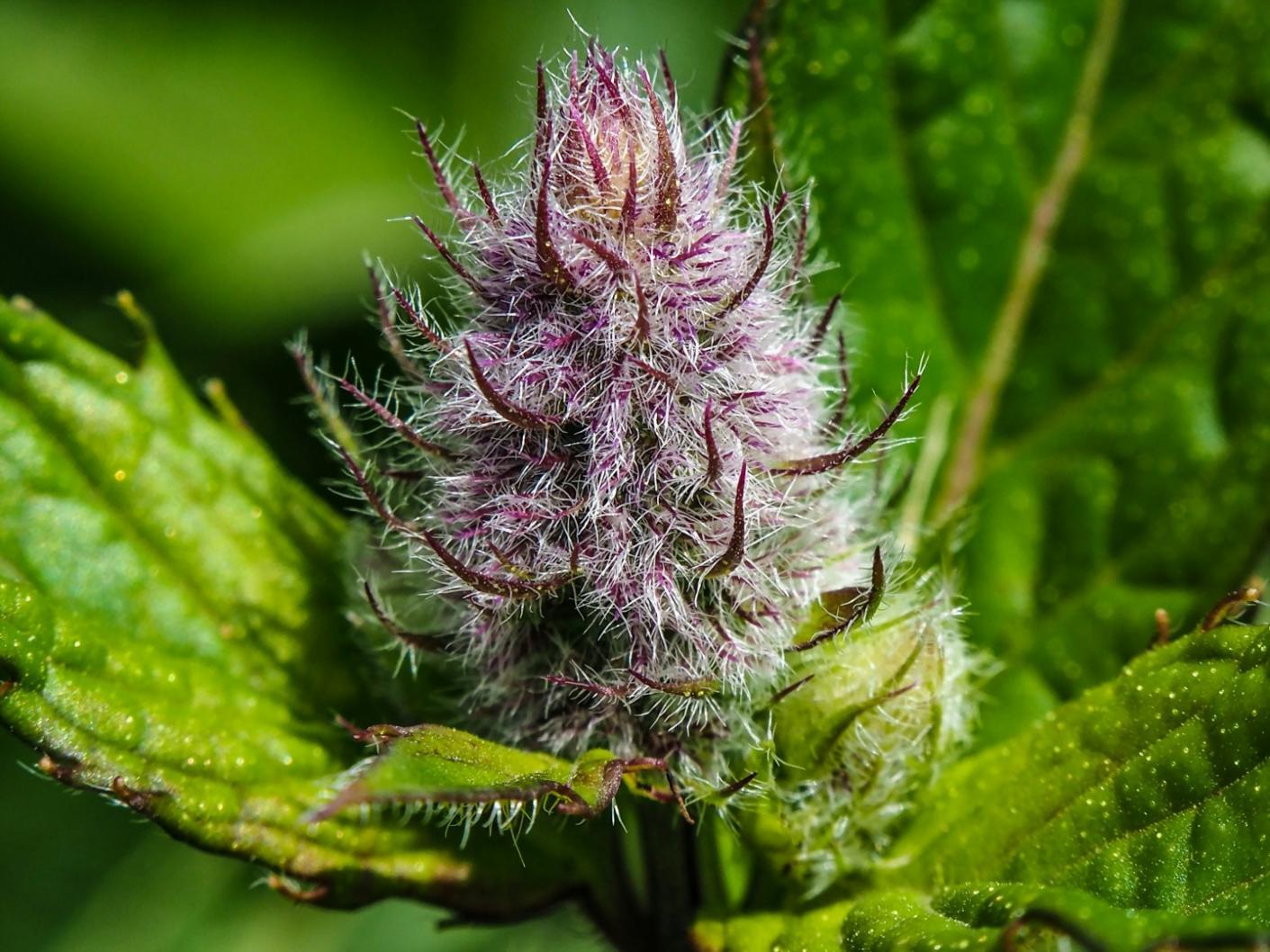 Custom floral arrangement showcasing unique design approach and artistic vision